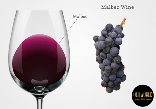 4 Sự thật tuyệt vời về rượu Malbec 
